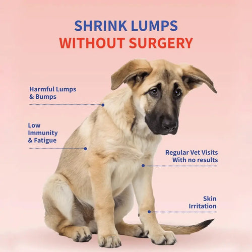 Turkey Tail+ Probiotic