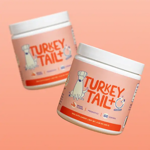 Turkey Tail+ Probiotic